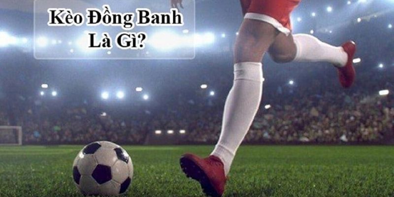 kèo đồng banh xin88